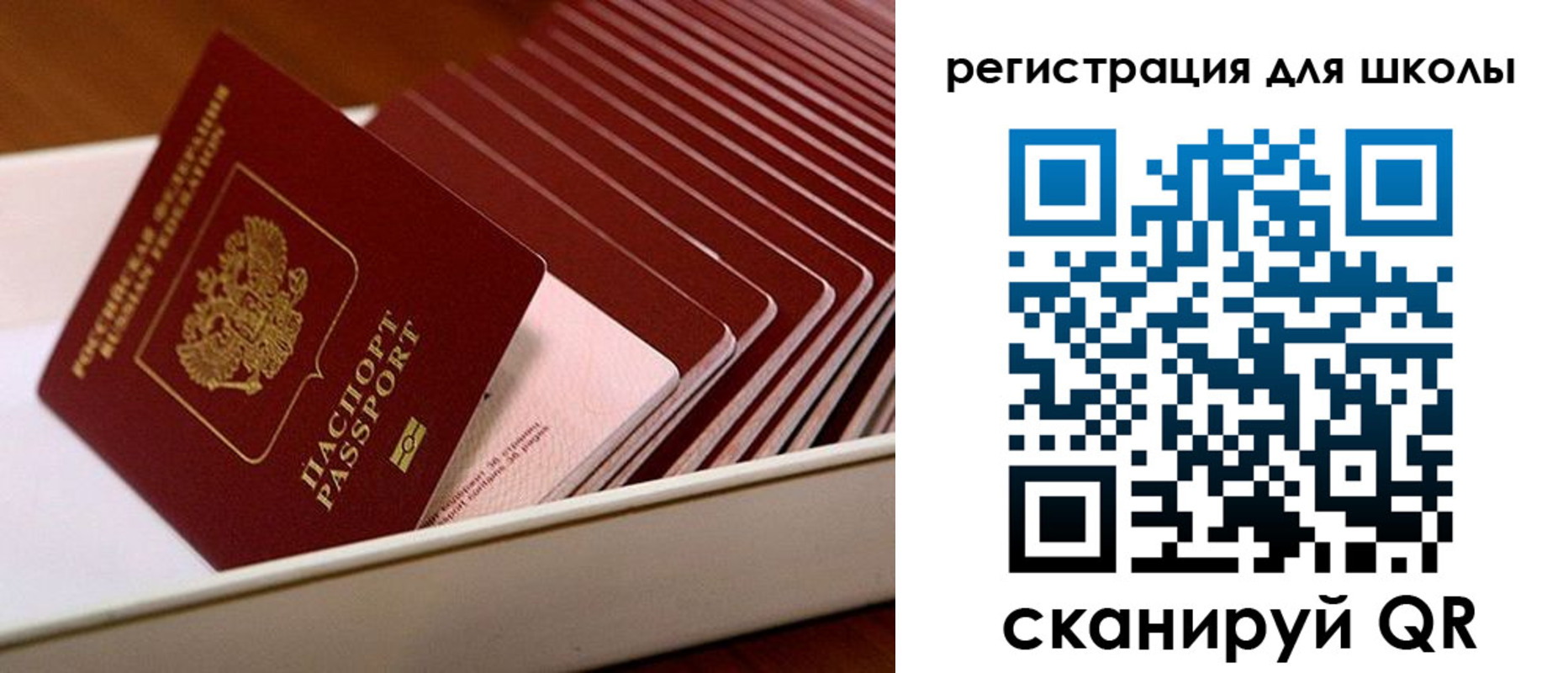 прописка гарантия в Тульской области